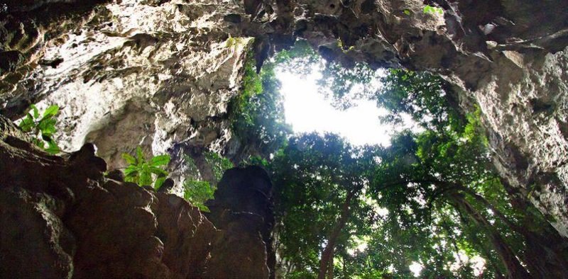 NATURE PARK 6
